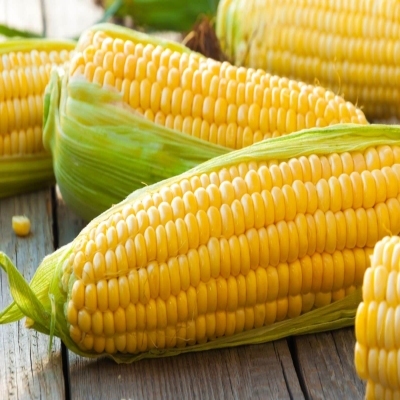 Jagung